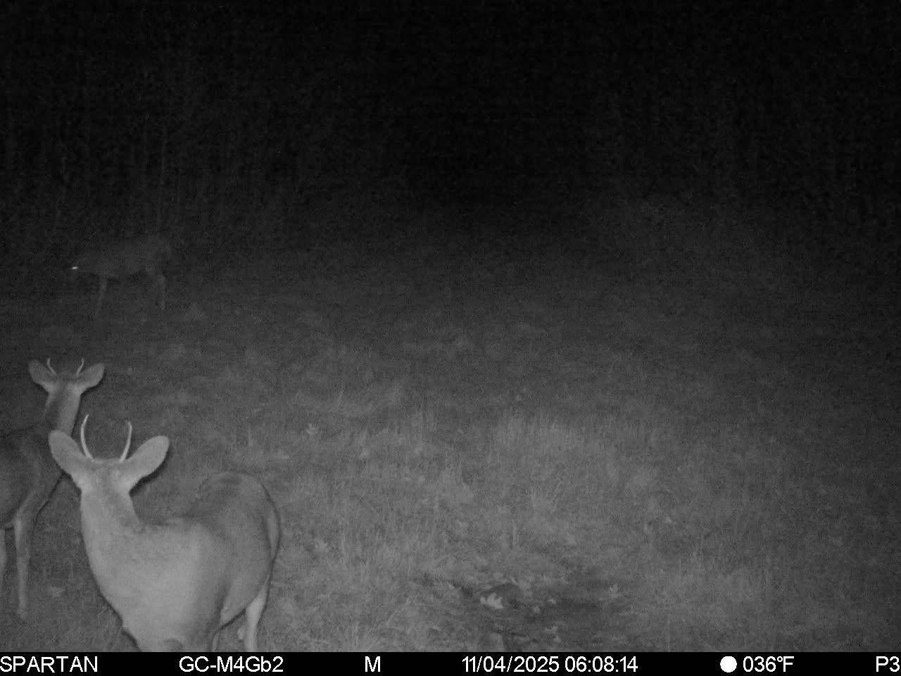 On On Cth H, Unit 80ACRES Radisson, WI 54867 - Photo 28 of 34 Gallery Image 28