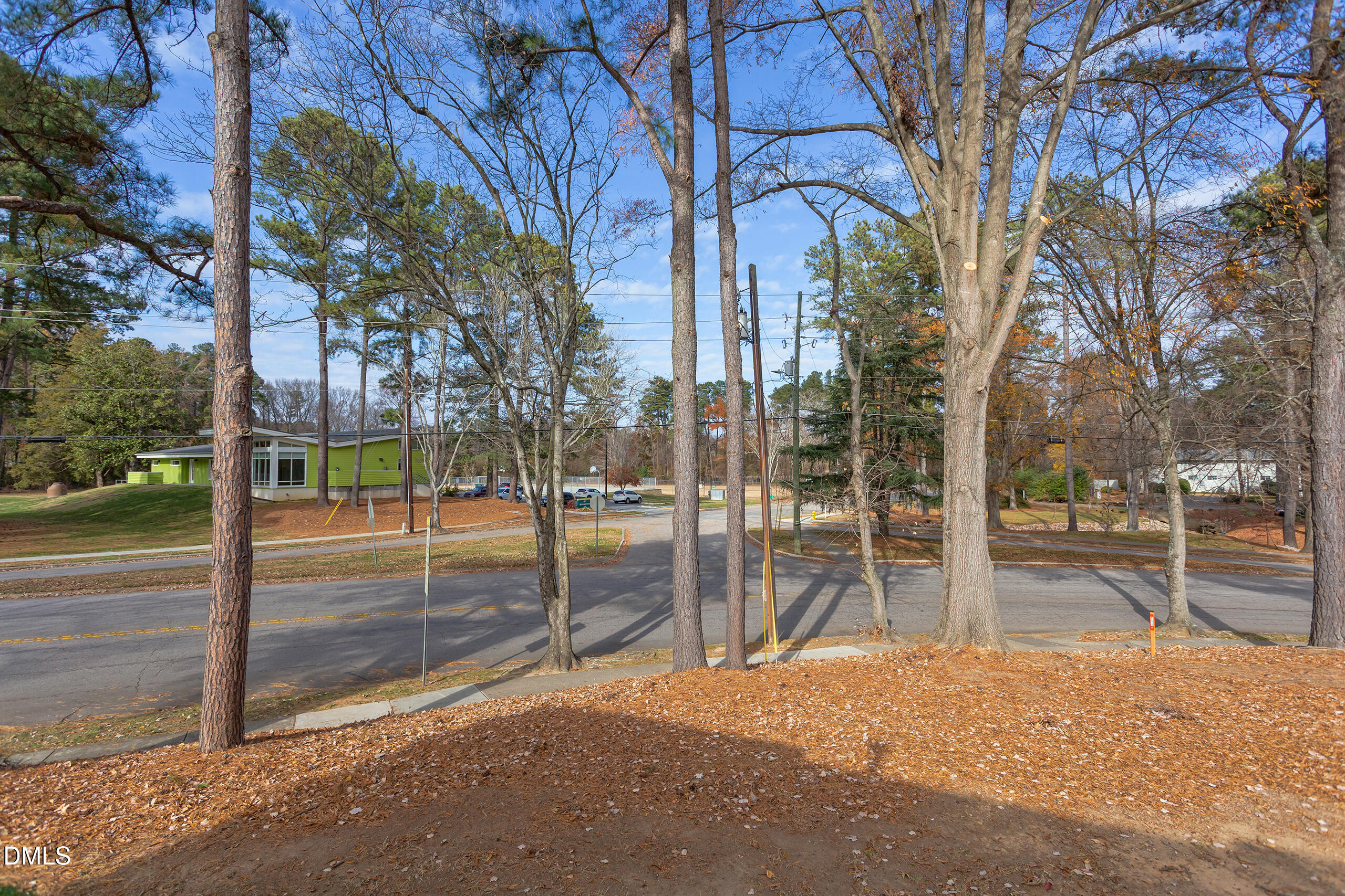 2556 Noble Road Raleigh, NC 27608 - Photo 27 of 29 a view of a yard with trees