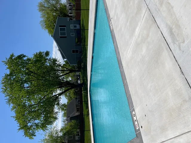 a close up of a plant in a garden