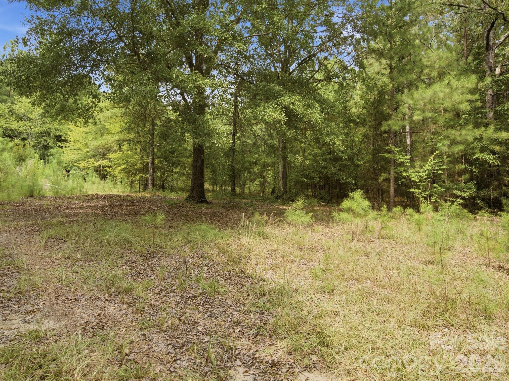 2625-2655 Pleasant Road Fort Mill, SC 29708 - Photo 6 of 39 Gallery Image 6
