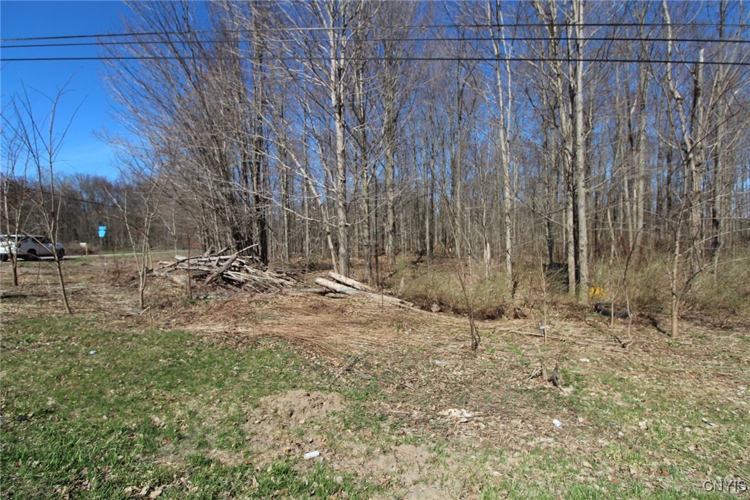 45 County Route Fulton, NY 13069 - Photo 14 of 19