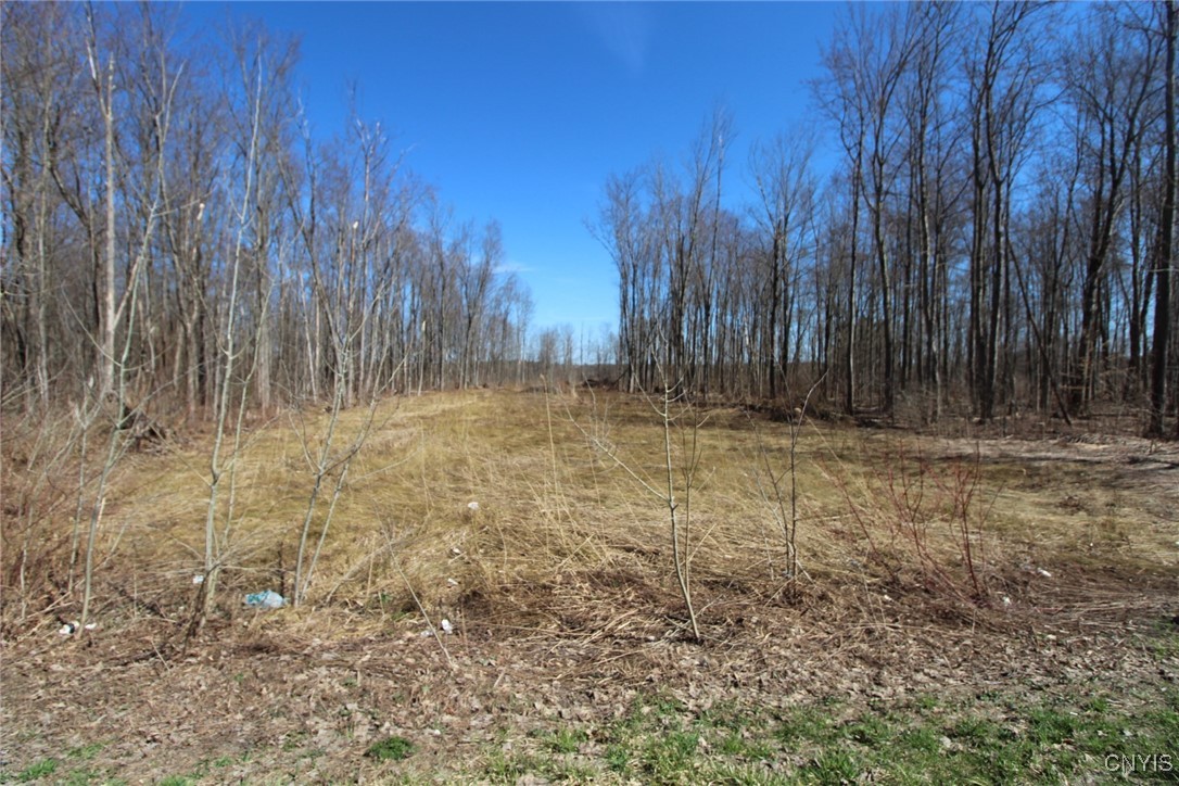 45 County Route Fulton, NY 13069 - Photo 18 of 19