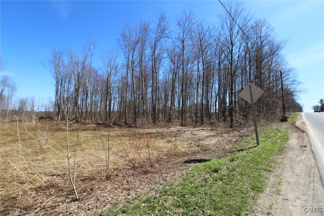 45 County Route Fulton, NY 13069 - Photo 19 of 19