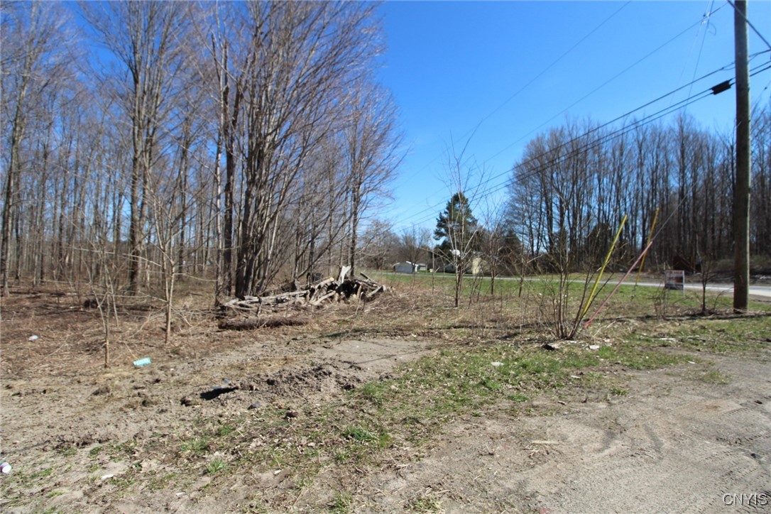 45 County Route Fulton, NY 13069 - Photo 3 of 19