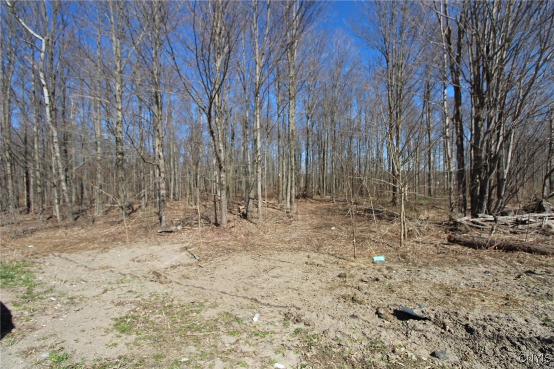 45 County Route Fulton, NY 13069 - Photo 5 of 19