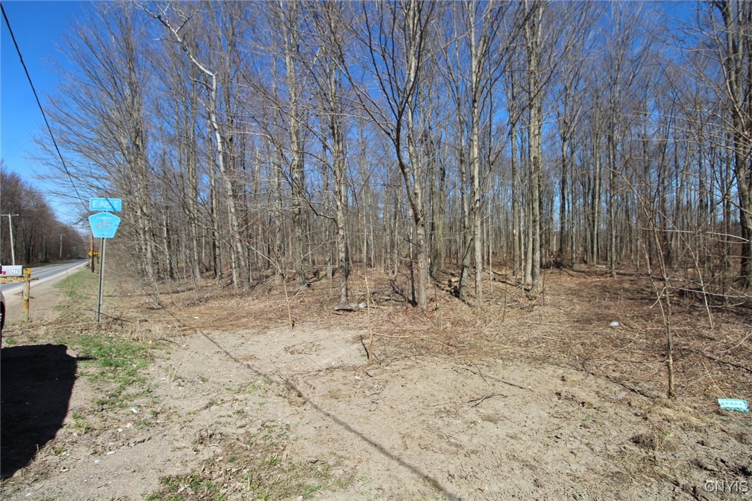 45 County Route Fulton, NY 13069 - Photo 6 of 19