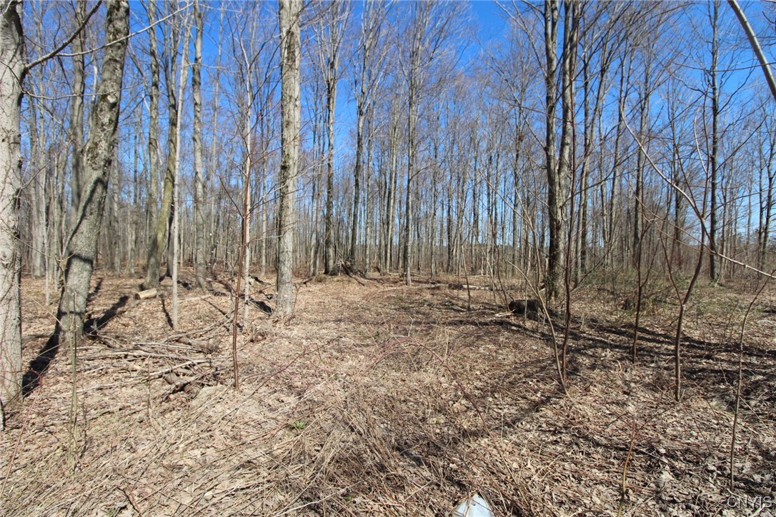 45 County Route Fulton, NY 13069 - Photo 7 of 19