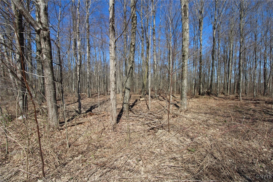 45 County Route Fulton, NY 13069 - Photo 8 of 19