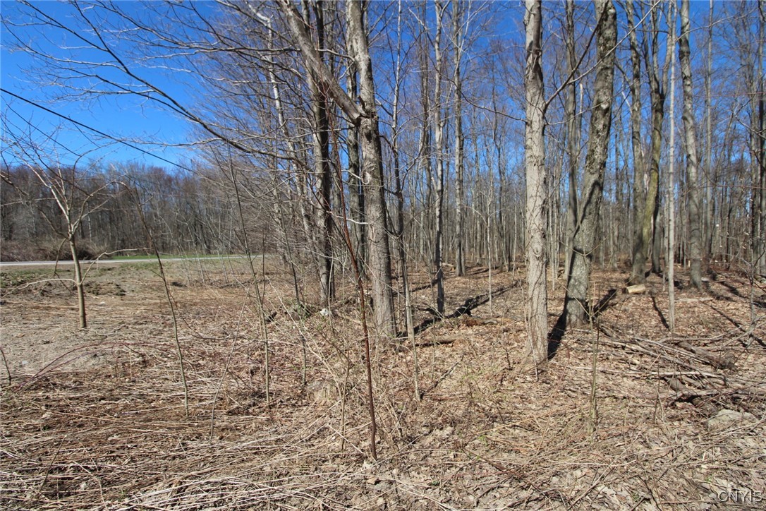 45 County Route Fulton, NY 13069 - Photo 9 of 19