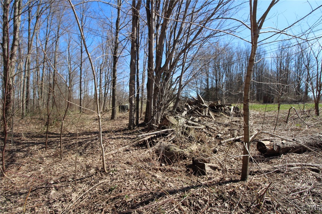 45 County Route Fulton, NY 13069 - Photo 10 of 19