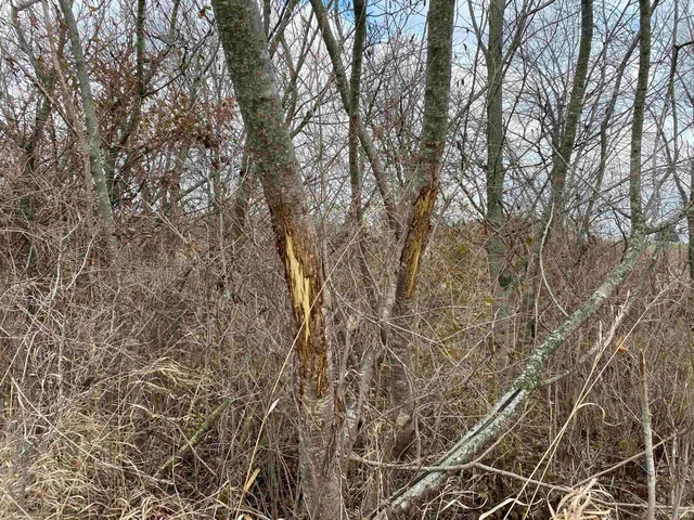 $668,160 | 0 East 125 North, Albion, IN 46701