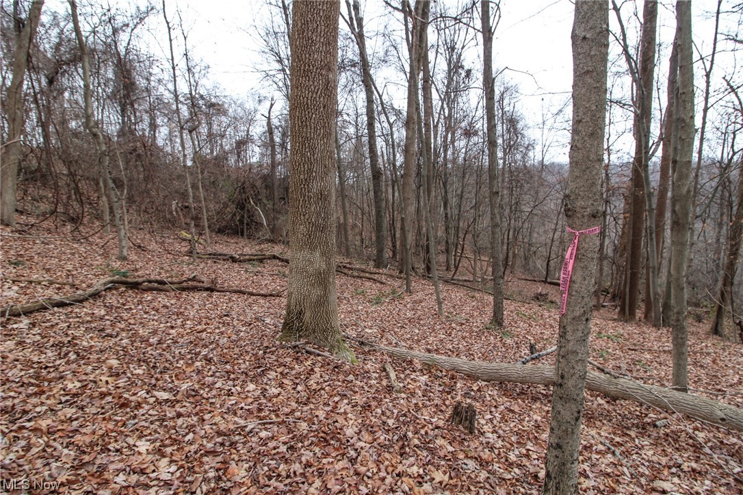 0 Mount Carmel Rdg Road St. Marys, WV 26170 - Photo 8 of 29 View of nature