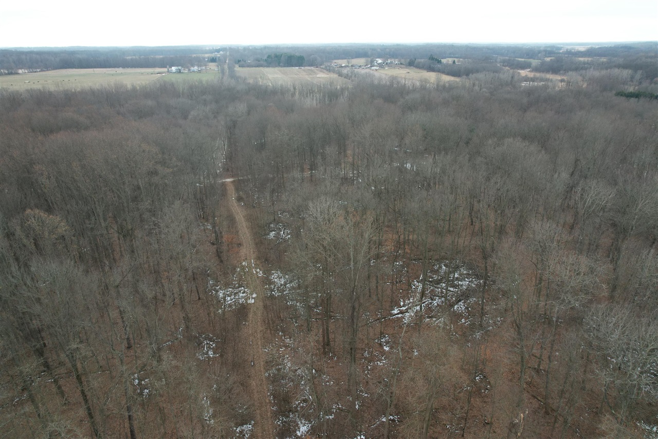 1255 Burbank Road Quincy, MI 49082 - Photo 42 of 52