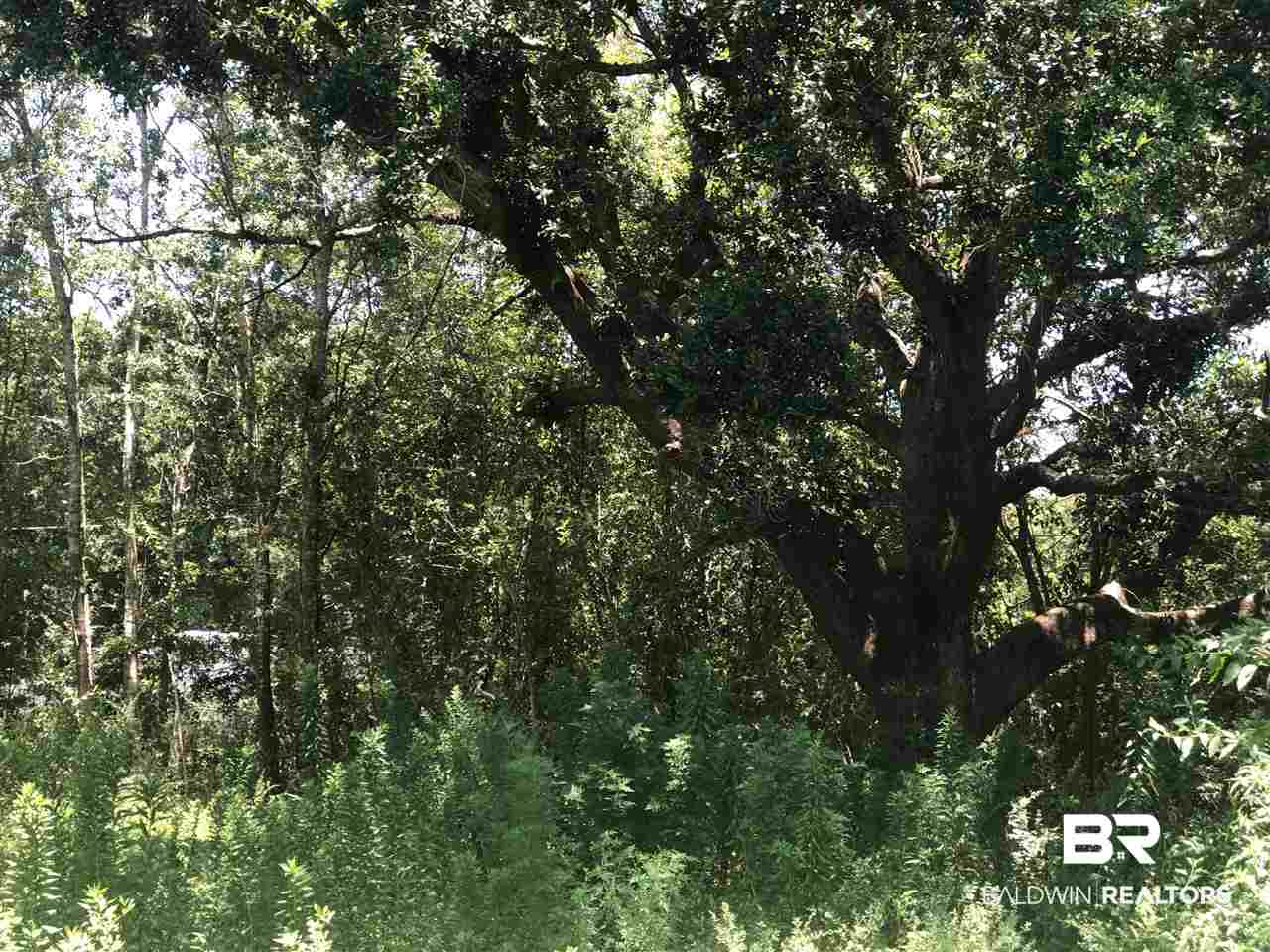 Lot 2 Woodland Avenue Foley, AL 36535 - Photo 6 of 26