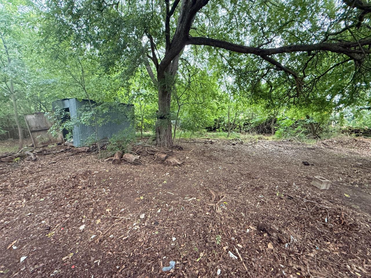 918 Brazos Street Lockhart, TX 78644 - Photo 13 of 14 a view of a yard with a tree
