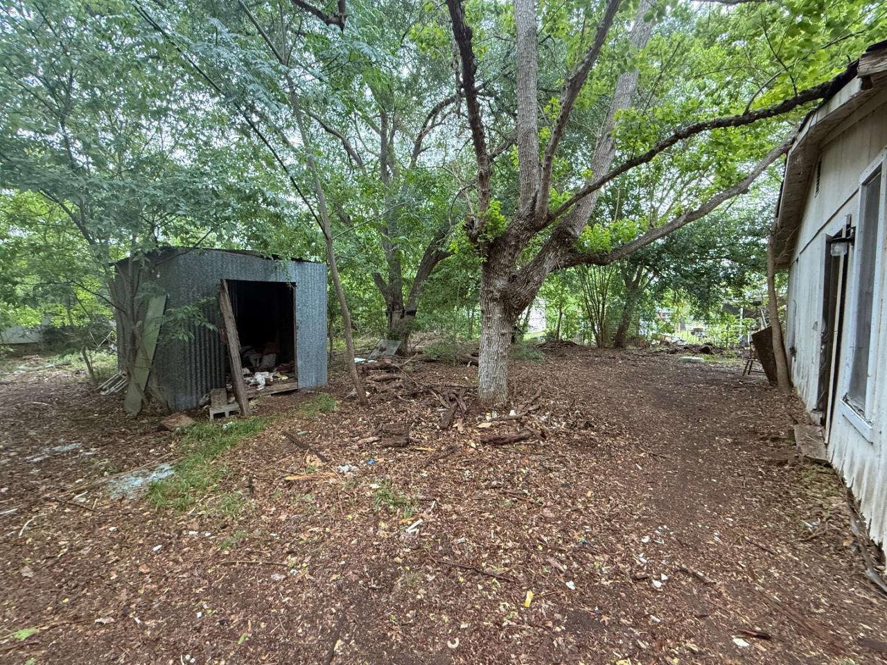 918 Brazos Street Lockhart, TX 78644 - Photo 10 of 14 a view of a outdoor space with a tree