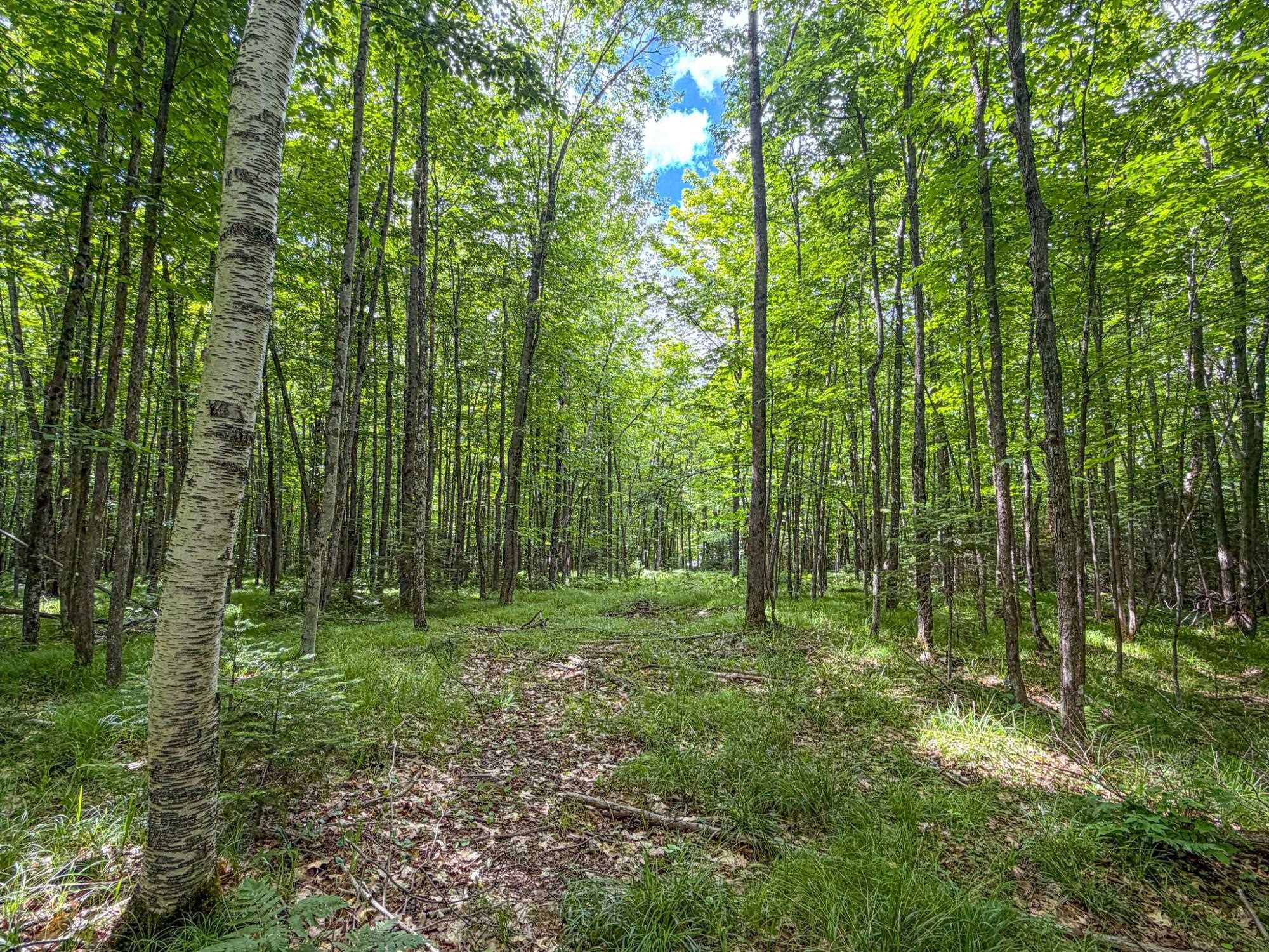 30 West Dover Road Phillips, WI 54555 - Photo 12 of 15