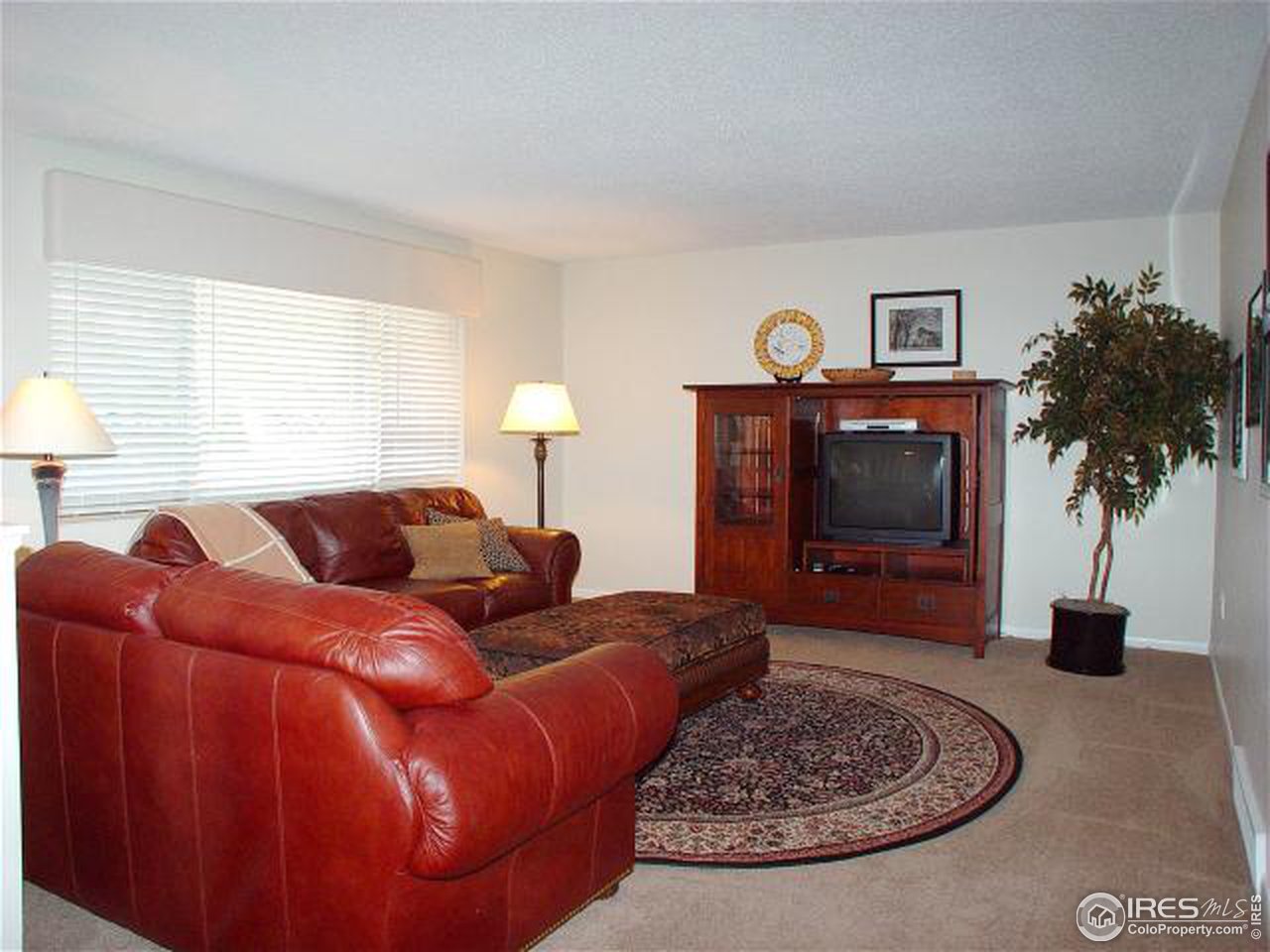 417-419 East Swallow Road Fort Collins, CO 80525 - Photo 6 of 12 Gallery Image 6