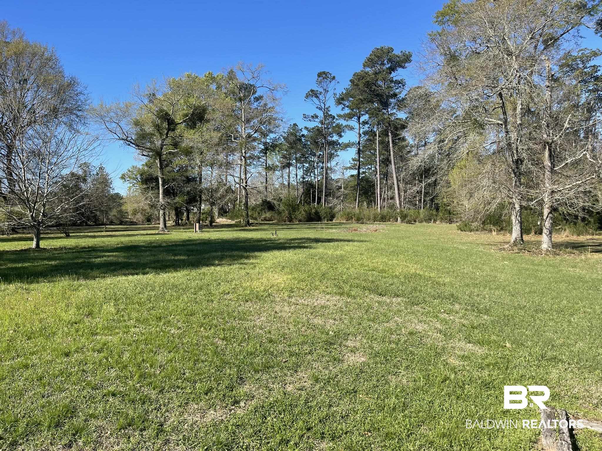 35405 Pine Road South Stapleton, AL 36578 - Photo 27 of 29 View of green lawn