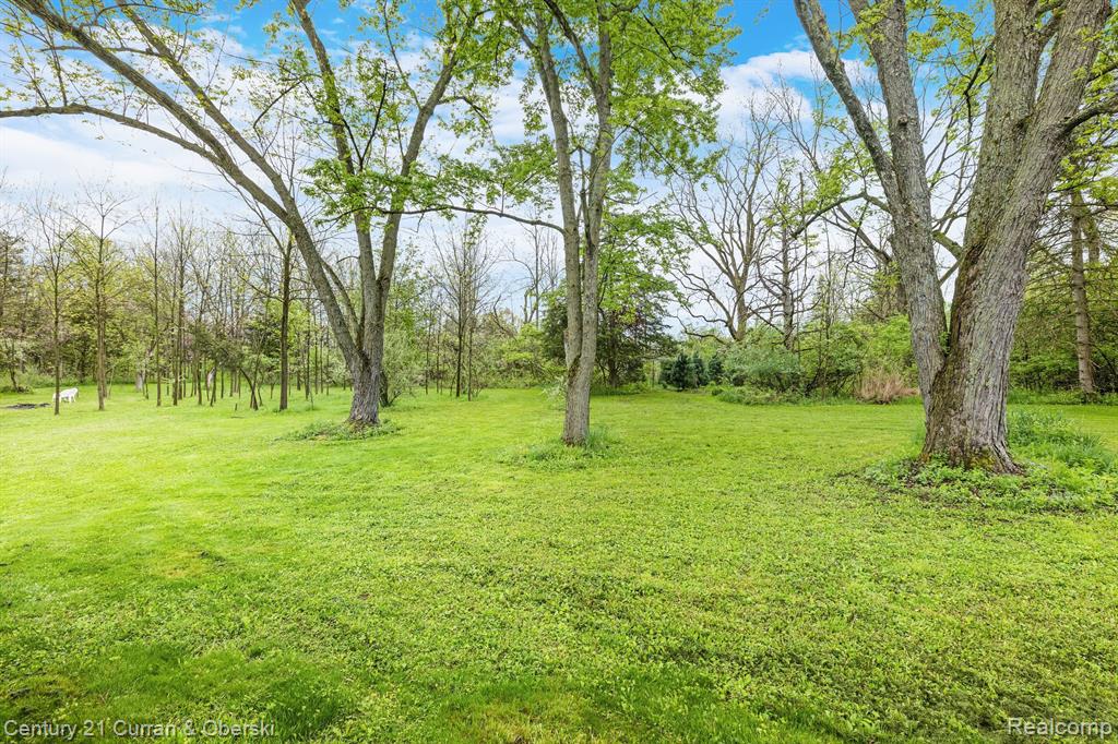 5590 Vreeland Road Ann Arbor, MI 48105 - Photo 5 of 19