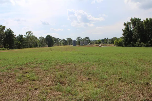 a view of a field with an trees in the background