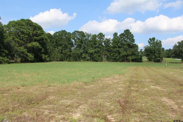 a view of a field with an trees in the background