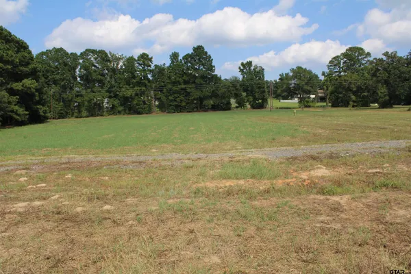 a view of a field with an trees in the background