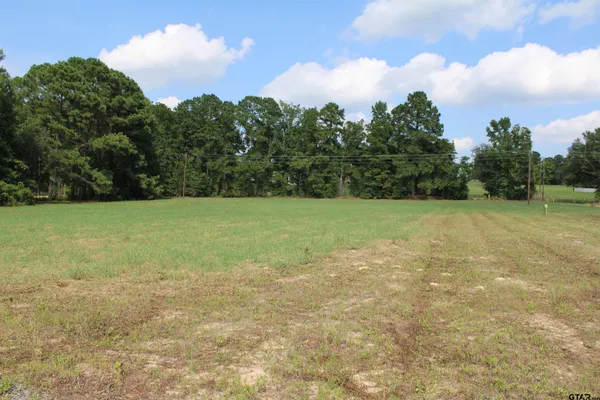 a view of a field with an trees in the background