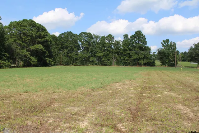 a view of a field with an trees in the background