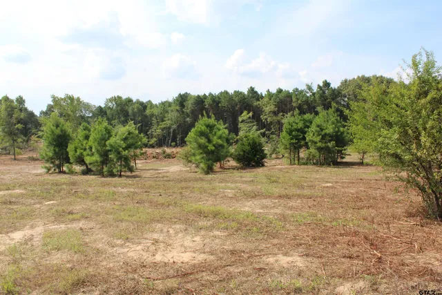 a view of a yard with an trees