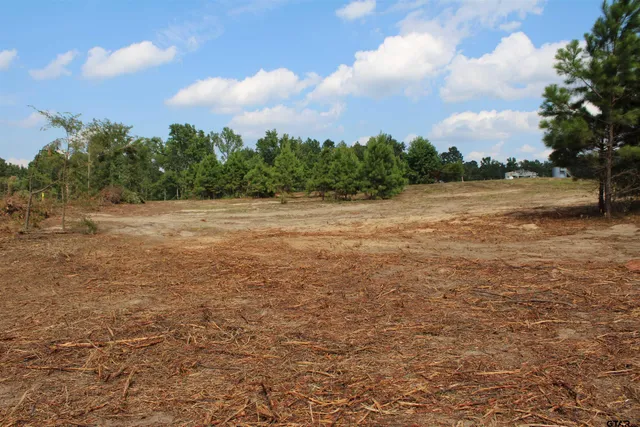 a view of an ocean and beach