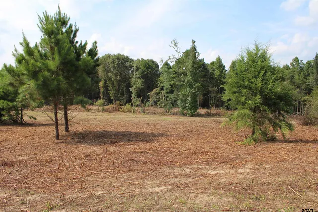 a view of dirt yard with a tree