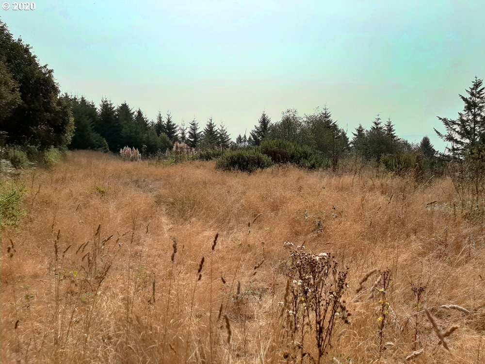 Pacific View Drive, Unit 8 Brookings, OR 97415 - Photo 2 of 7 Buildable Area