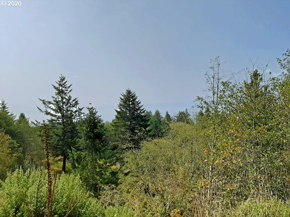 Pacific View Drive, Unit 8 Brookings, OR 97415 - Photo 3 of 7 View