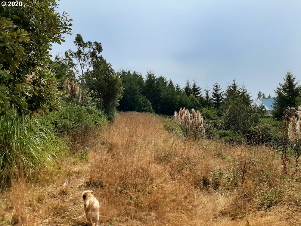 Pacific View Drive, Unit 8 Brookings, OR 97415 - Photo 4 of 7 Green Space