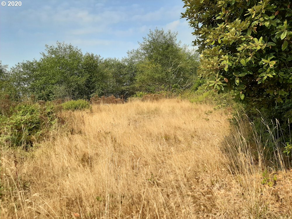 Pacific View Drive, Unit 8 Brookings, OR 97415 - Photo 5 of 7 Home Site
