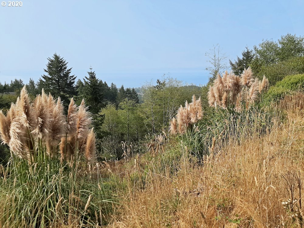 Pacific View Drive, Unit 8 Brookings, OR 97415 - Photo 6 of 7 View