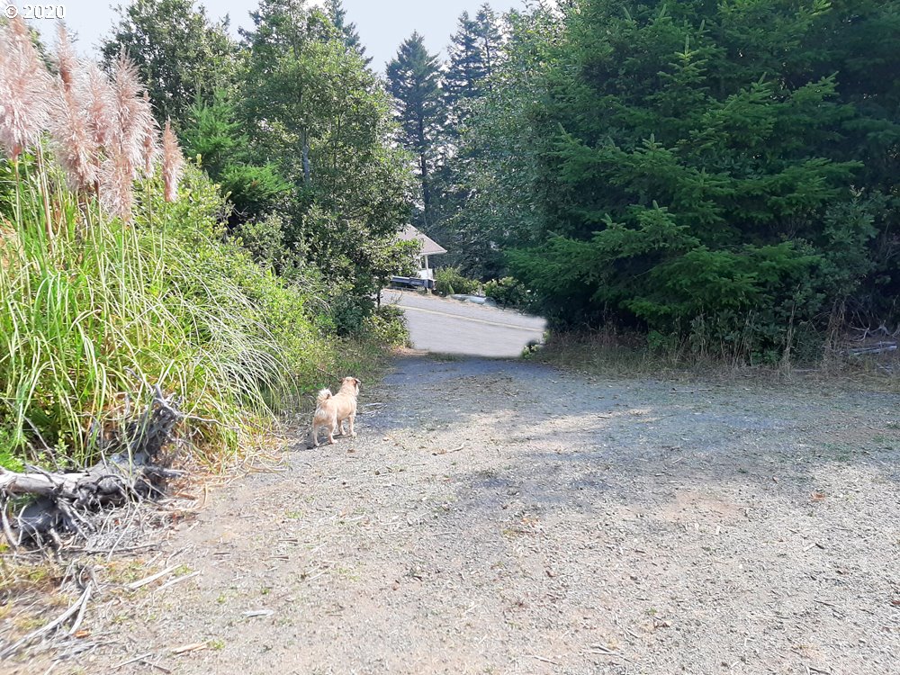 Pacific View Drive, Unit 8 Brookings, OR 97415 - Photo 7 of 7 Property Entrance