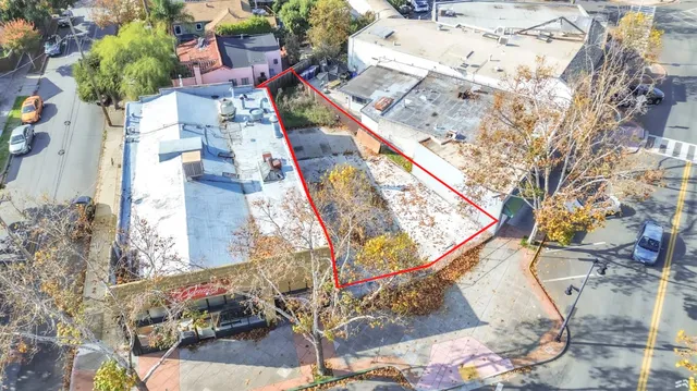 a picture of flowers