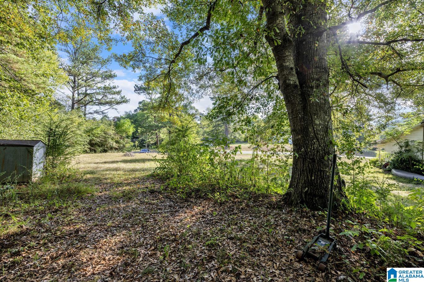 25 Ricetown Road Hayden, AL 35079 - Photo 3 of 12