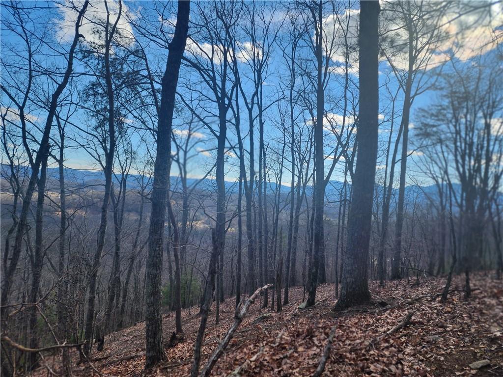 0 Trackrock Gap Road Blairsville, GA 30512 - Photo 3 of 7