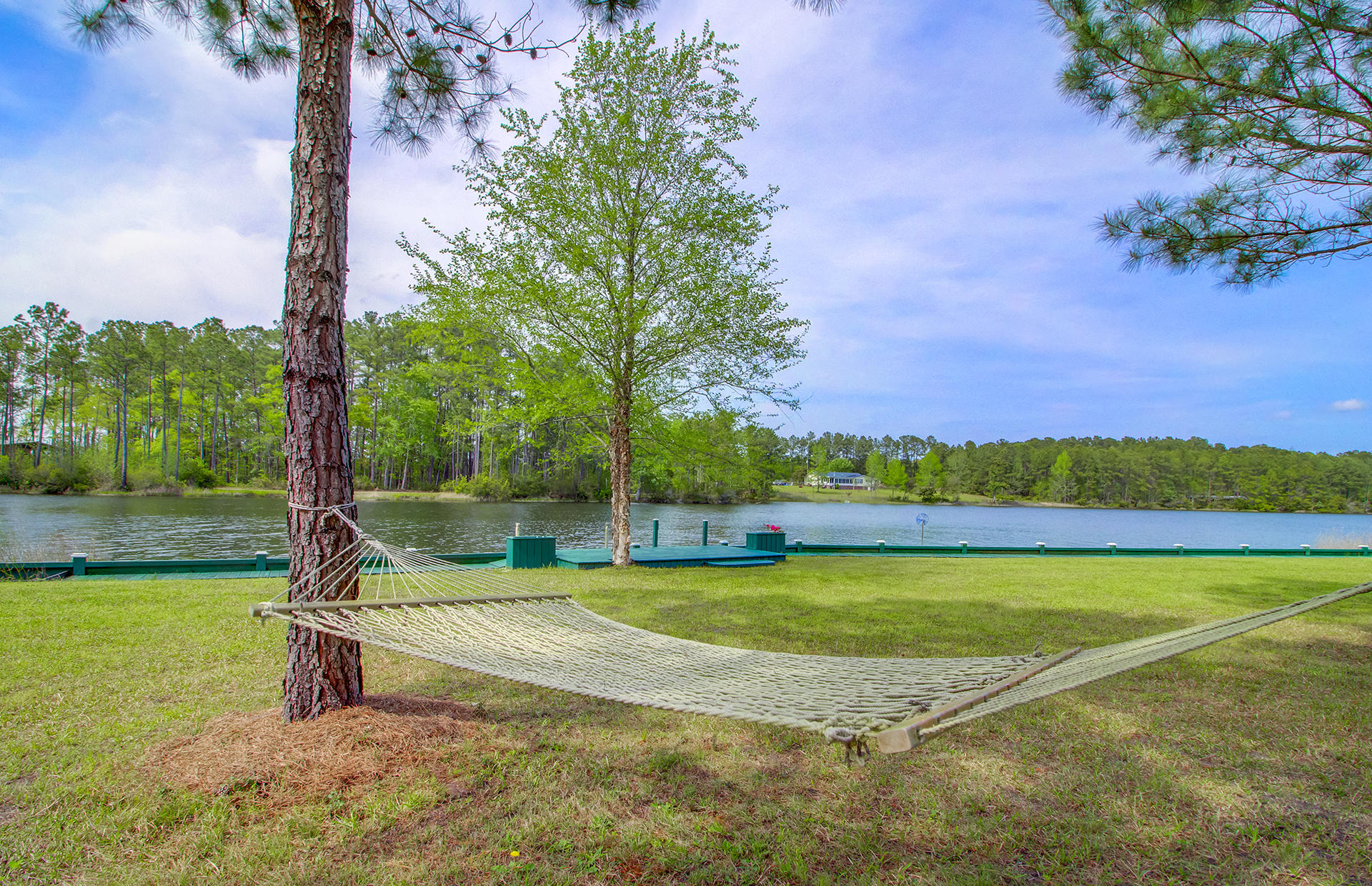 438 Honor Lane Ridgeville, SC 29472 - Photo 3 of 45 38