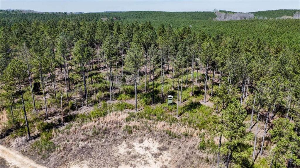403-ac Youngs Farm Road Cedartown, GA 30125 - Photo 5 of 15