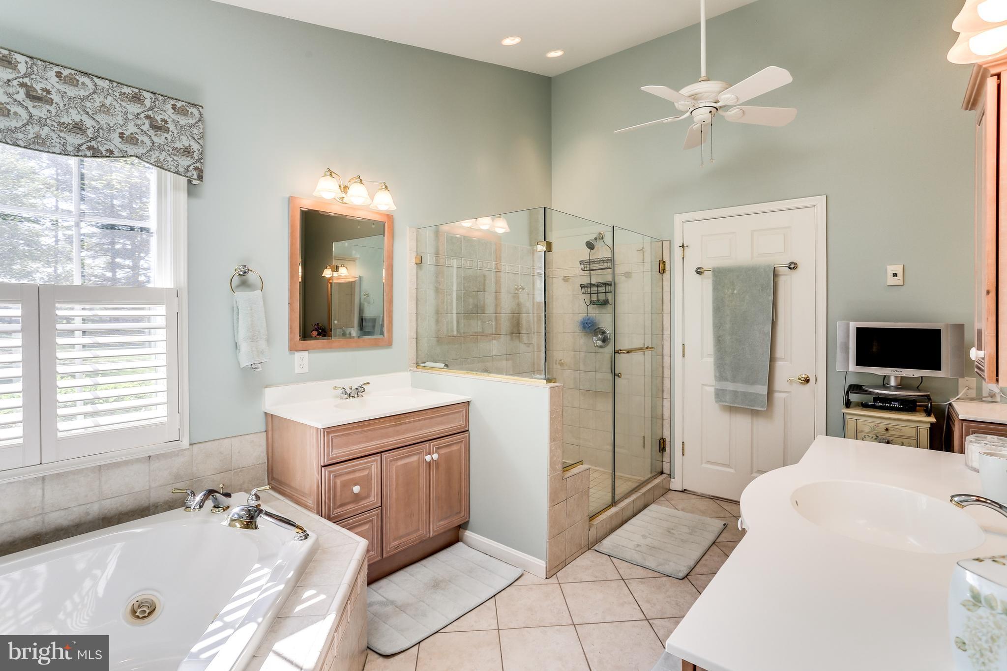 14134 Rover Mill Road West Friendship, MD 21794 - Photo 11 of 28 Master Bath