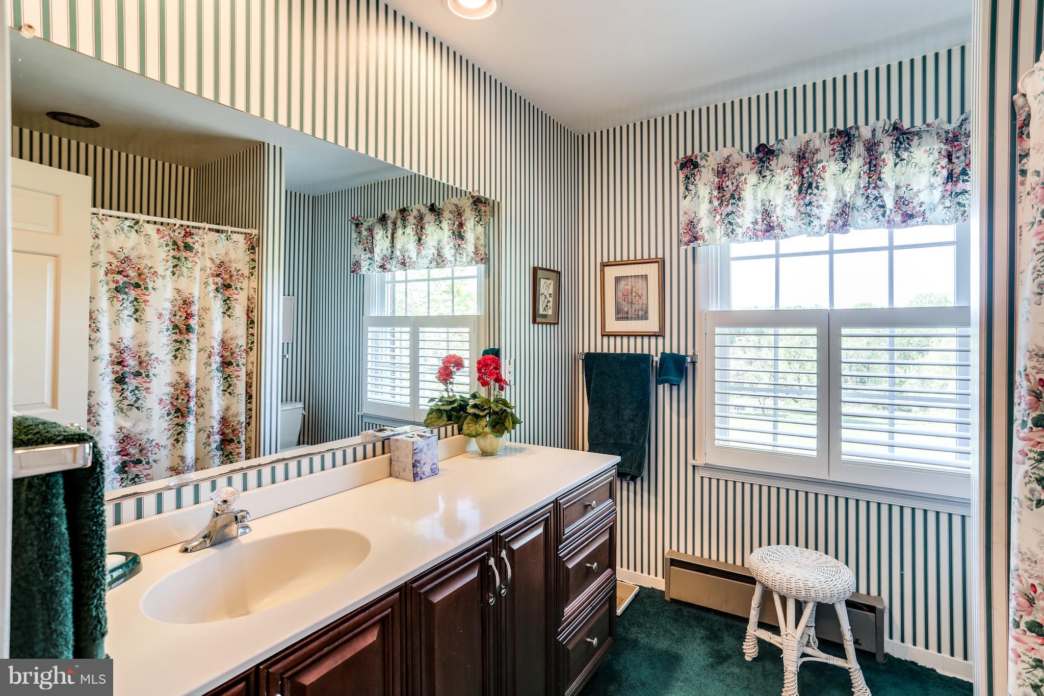14134 Rover Mill Road West Friendship, MD 21794 - Photo 18 of 28 Hall Bath