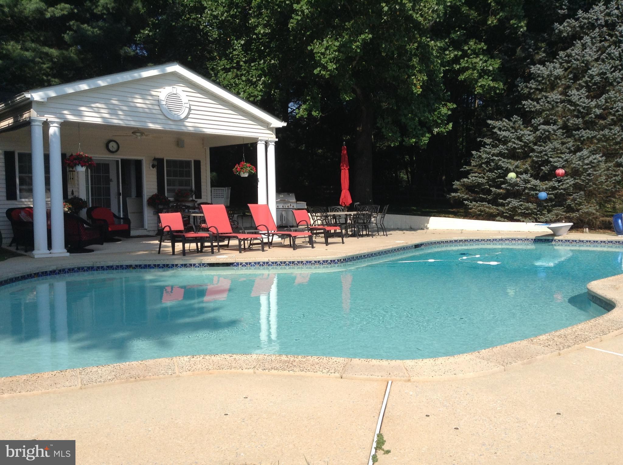 14134 Rover Mill Road West Friendship, MD 21794 - Photo 21 of 28 Pool