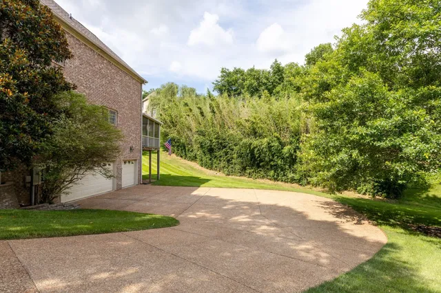 a view of a yard with plants and trees