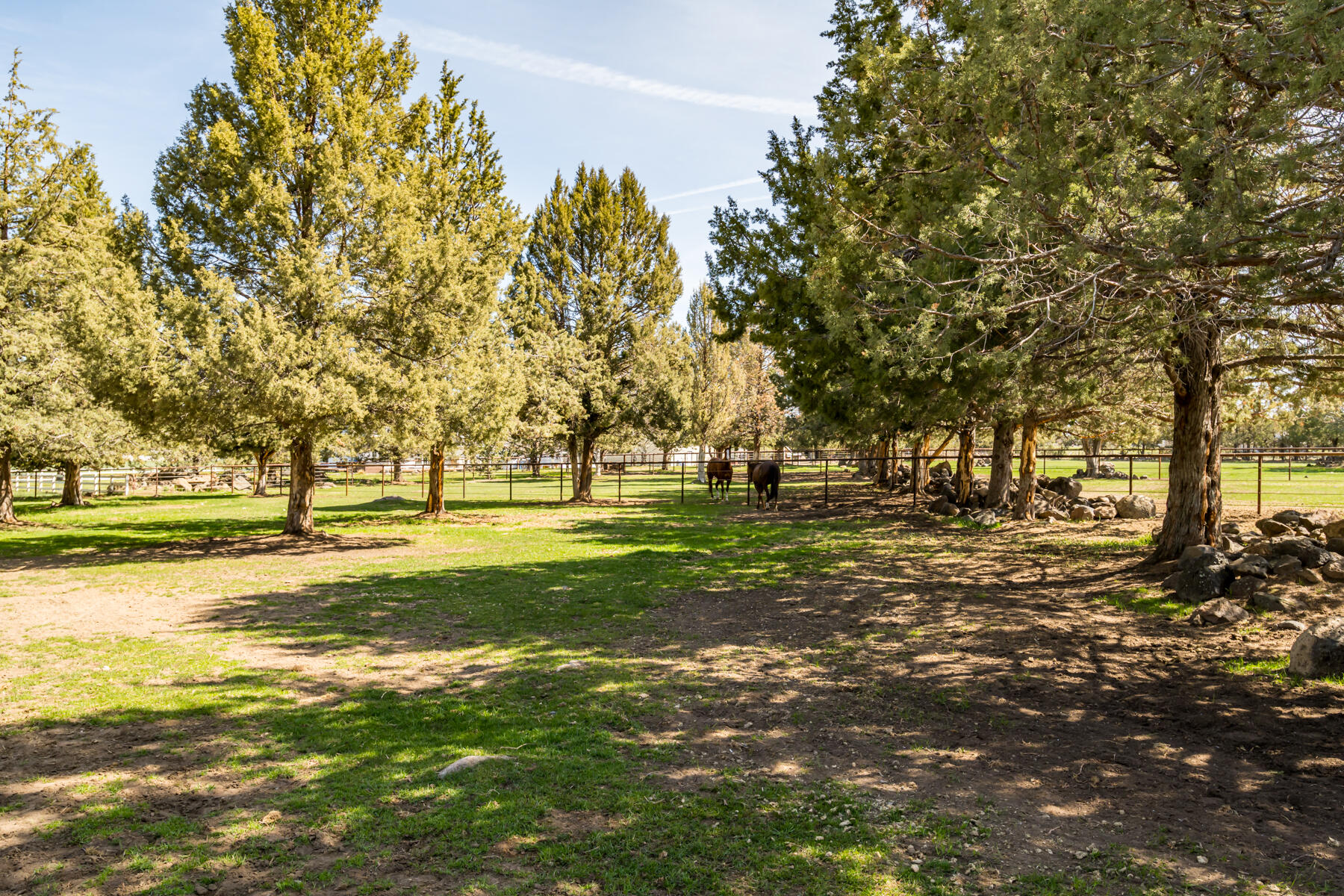 65900 Cline Falls Road Bend, OR 97703 - Photo 71 of 93 JH5_9054