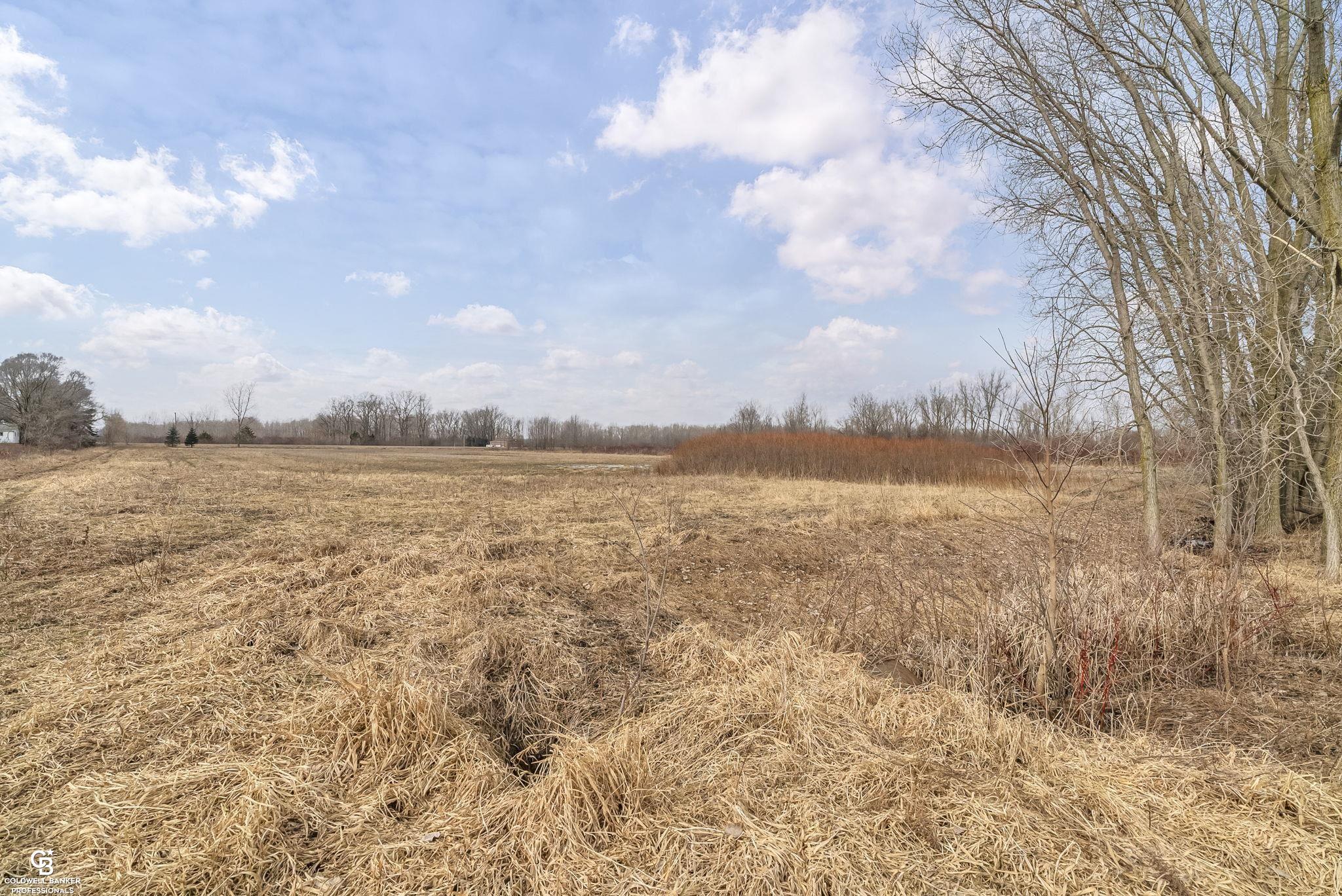 Tbd Capac Road Yale, MI 48097 - Photo 7 of 9
