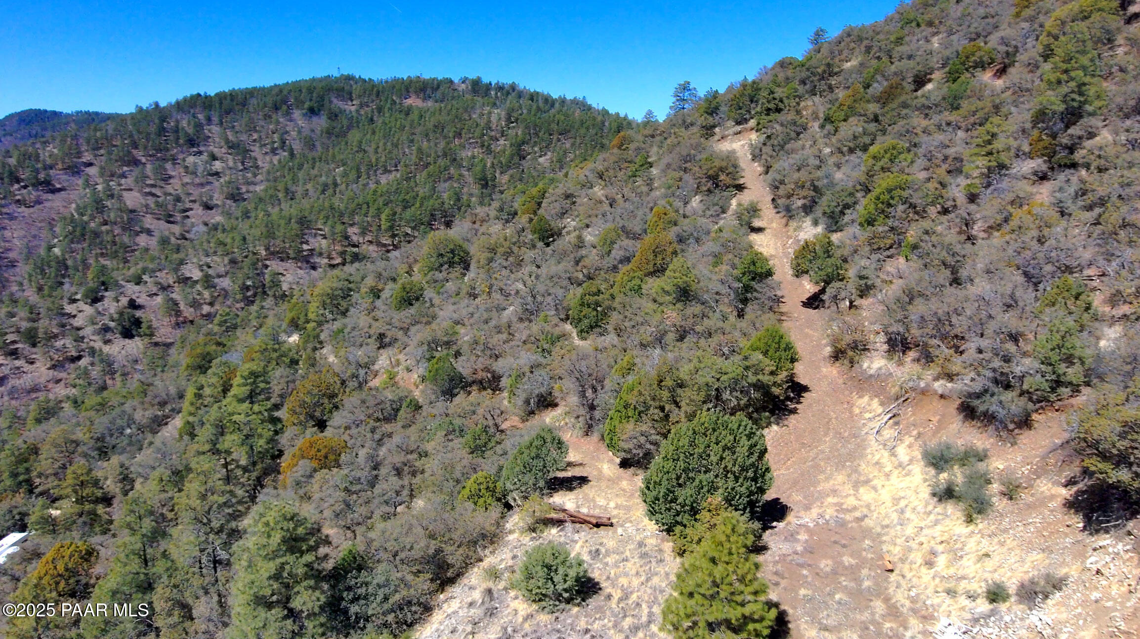 33 East Bald Mountain Road Prescott, AZ 86303 - Photo 11 of 21 a view of a forest with a tree